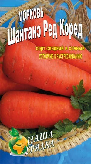 морковь шантанэ-ред-коред