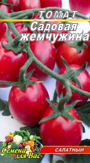 tomat-sadovaya-zhemchuzhina