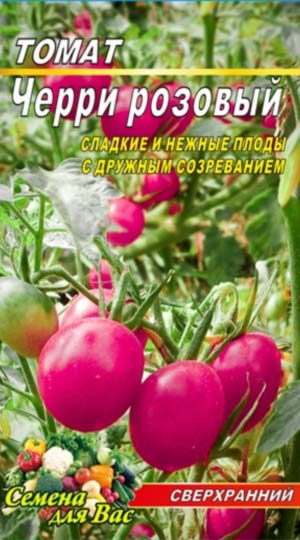 Tomat-CHerri-rozovyiy