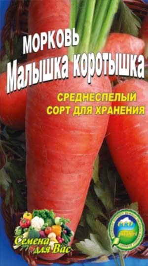morkov-malyishka