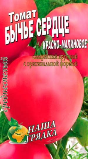 Tomat-Byche-serdce-malinovoe
