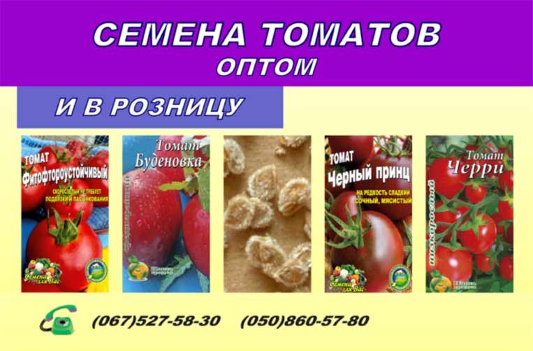 Купити насіння томатів в Україні опт, ціна