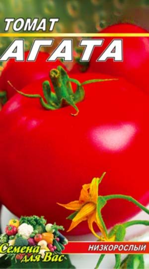 tomat-agata