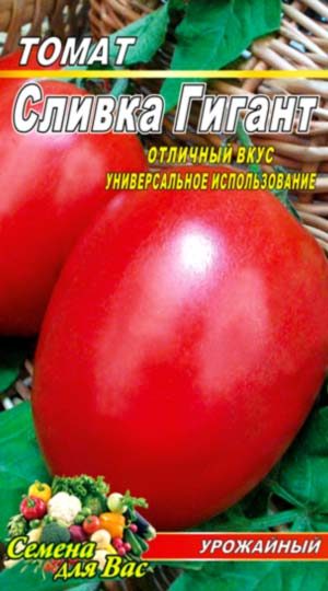 tomat-slivka-gigant