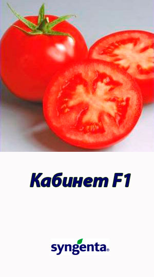Tomat-KABINET-F1-Syngenta-500-shtuk