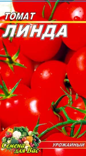 tomat-linda-1