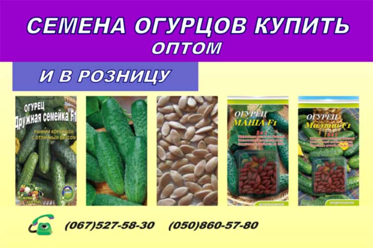 Семена огурцов в Украине предложение интернет магазина