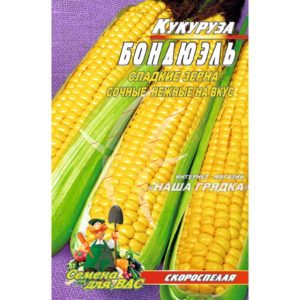 Кукуруза-Бондюэль