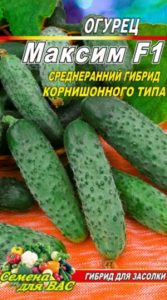 Огірок Максим F1