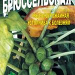 капуста-Брюссельская