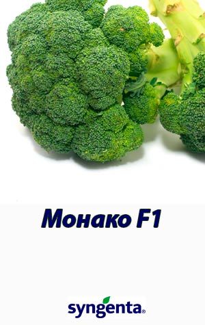 monako-f1-kapusta-brokkoli-syngenta