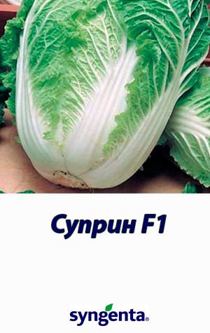 suprin-f1-kapusta-pekinskaja-syngenta