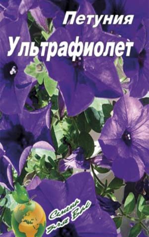 Петуния-Ультрафиолет