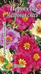 Портулак Махрова суміш 0,1 грам