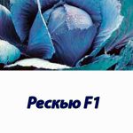 Рескью F1 капуста краснокочанная Syngenta