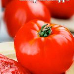 Томат Марманде пакет 20 семян