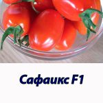 Томат САФАИКС F1 Syngenta 2 500 шт