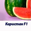 Карістан F1 гібрид кавуна Syngenta