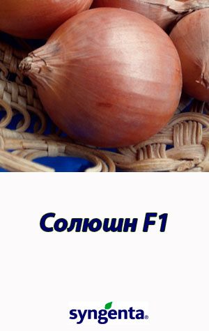 Solyushn-F1-gibrid-luka-Syngenta