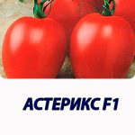 Томат АСТЕРИКС F1 Syngenta 2 500 шт