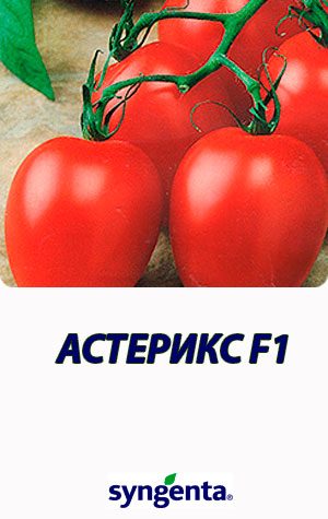 Tomat-ASTERIKS-F1-Syngenta-2500-shtuk