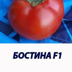 Томат БОСТИНА F1 Syngenta 500 штук