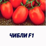 Томат ЧИБЛИ F1 Syngenta 2 500 шт