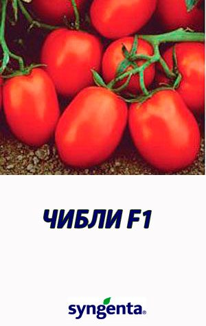 Tomat-CHIBLI-F1-Syngenta-2500-shtuk