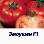 Томат ЭМОУШН F1 Syngenta 500 штук