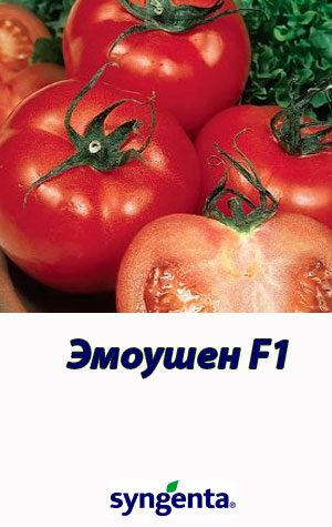 Tomat-EMOUSHN-F1-Syngenta-500-shtuk