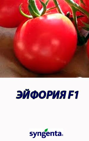 Tomat-EYFORIYA-F1-Syngenta-500-shtuk