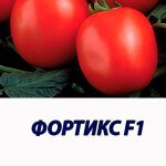 Томат ФОРТИКС F1 Syngenta 5 000 шт