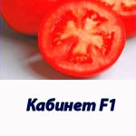 Томат КАБИНЕТ F1 Syngenta 500 штук
