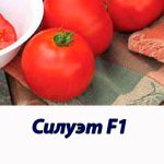 Томат СИЛУЭТ F1 Syngenta 500 штук