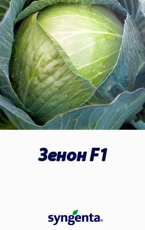 Zenon-F1