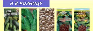 Купить семена огурца в Украине