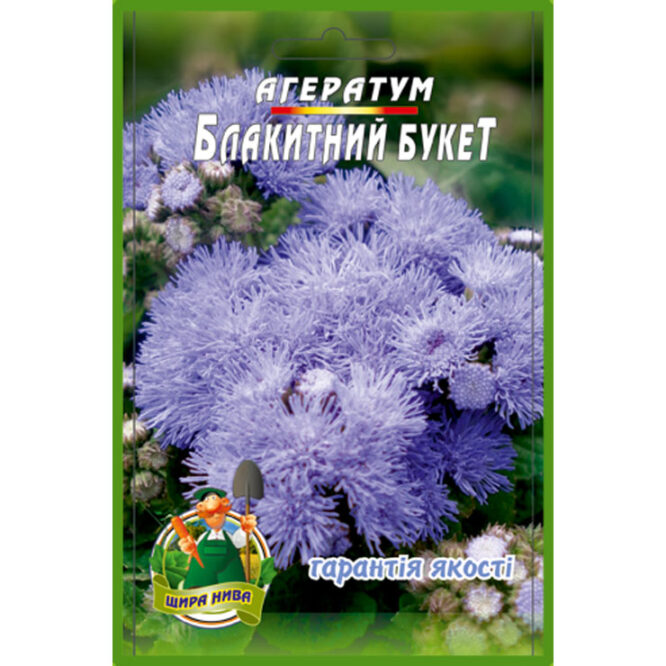 купити-агератум-блакитний-букет-щира-нива