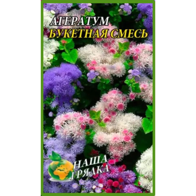 купити-агератум-букетна-суміш