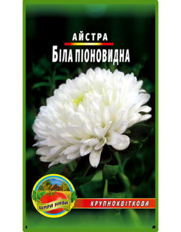 Айстра піоноподібна Біла