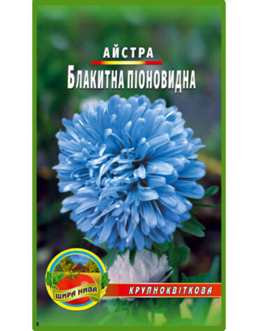 Айстра піоноподібна Блакитна
