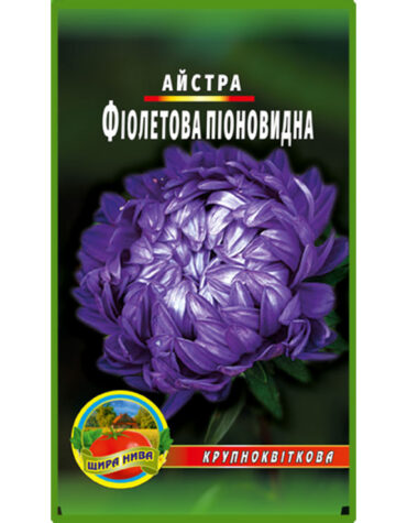 Айстра піоноподібна Фіолетова