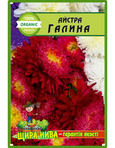 Айстра Галина