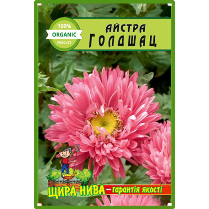 Айстра Голдшац
