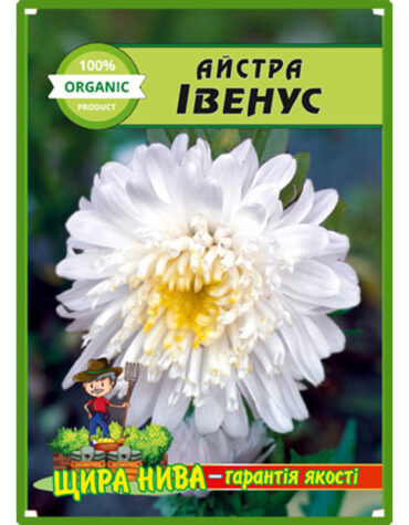 Айстра Івенус