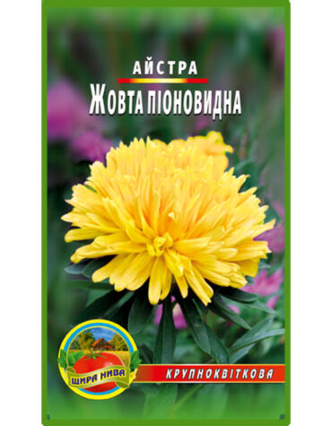 Айстра піоноподібна Жовта