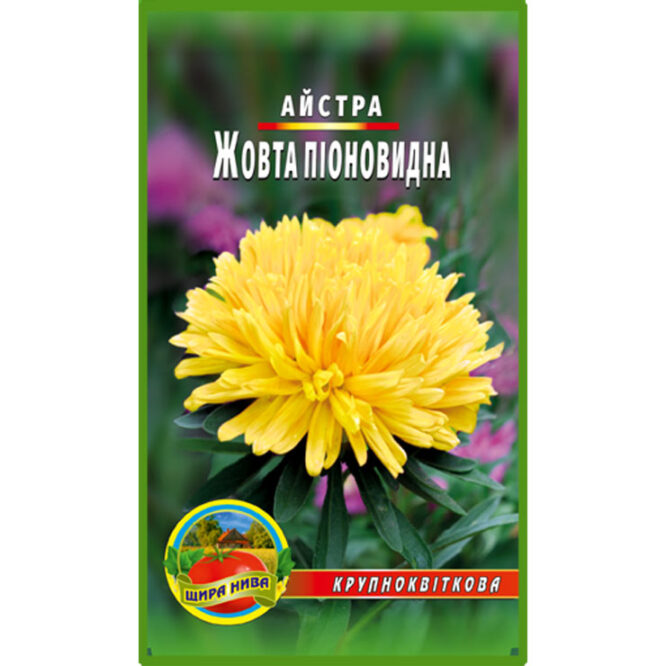 Айстра піоноподібна Жовта