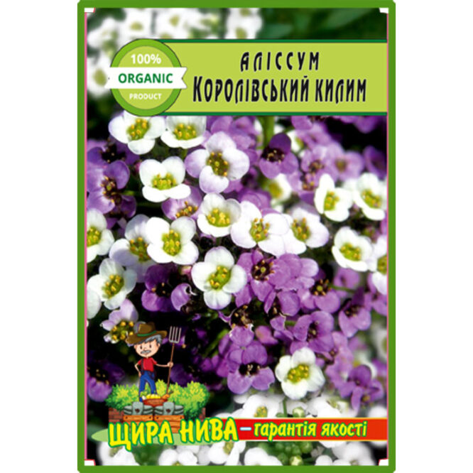 купити-аліссум-королівський-килим-щира-нива