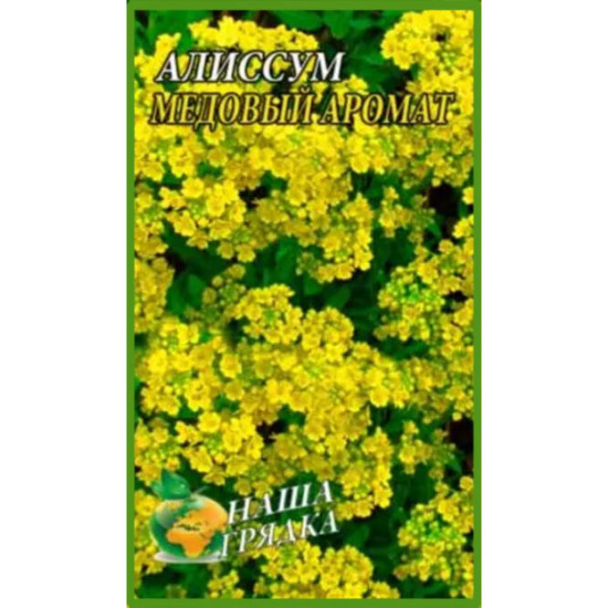 купити-Аліссум-Медовий-аромат-щира-нива