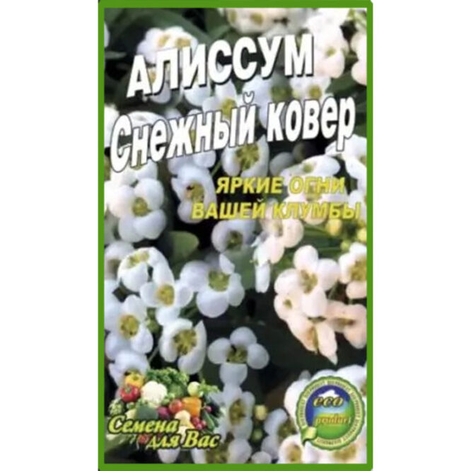 купити-Аліссум-Сніговий-килим-щира-нива