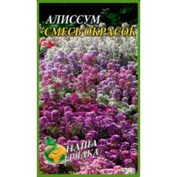 купити-Аліссум-Суміш-забарвлень-щира-нива
